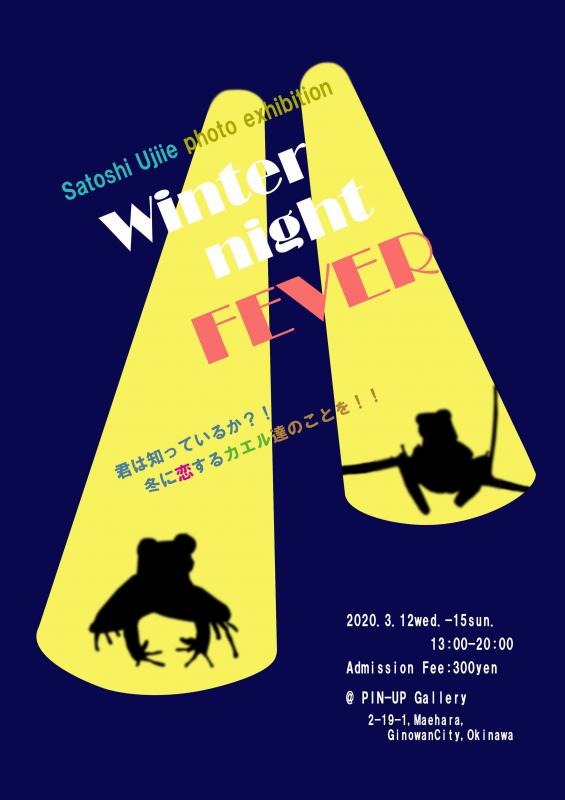 Winter Night Fever  〜君は知っているか？！冬に恋するカエル達のことを！！〜