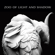 ZOO OF LIGHT AND SHADOW - 光と影の動物園 -