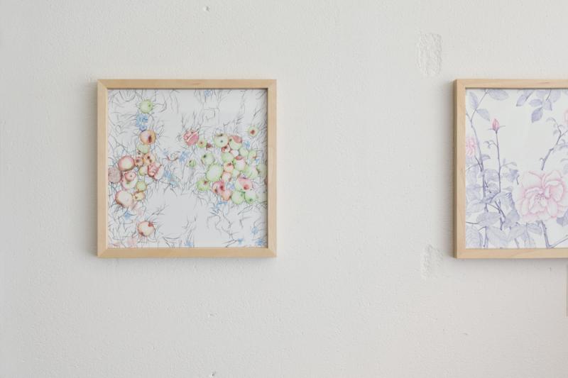 奥原しんこ 個展「そのつづき」
