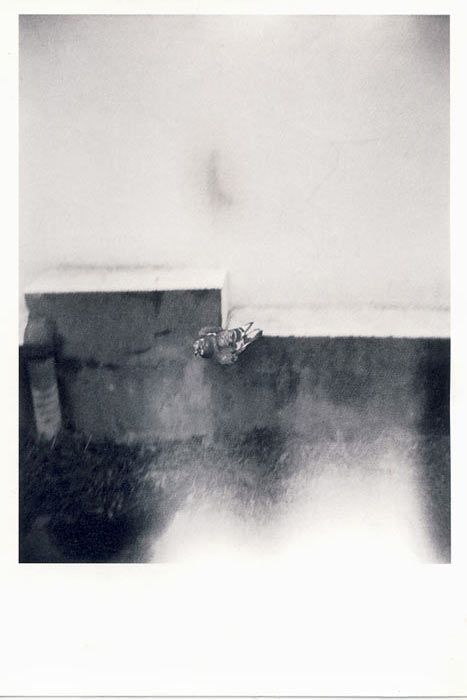 津田 仁　写真展　「あくがれ」