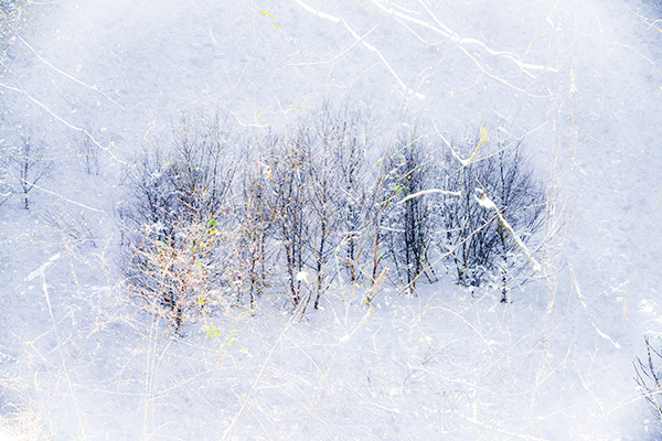 清永安雄 写真展「Winter Wonderland」