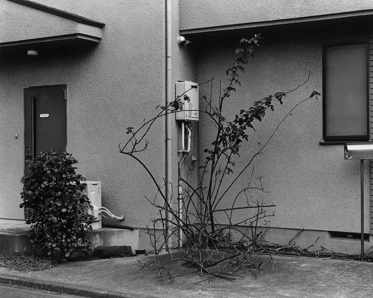 榎本千賀子写真展