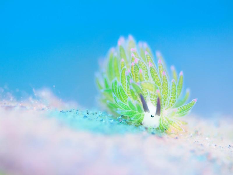 本郷英幸写真展　海色とりどり