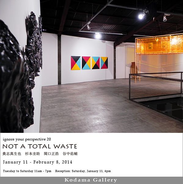イグノア・ユア・パースペクティブ 20 "not a total waste"