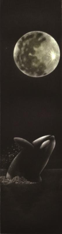 秋月展