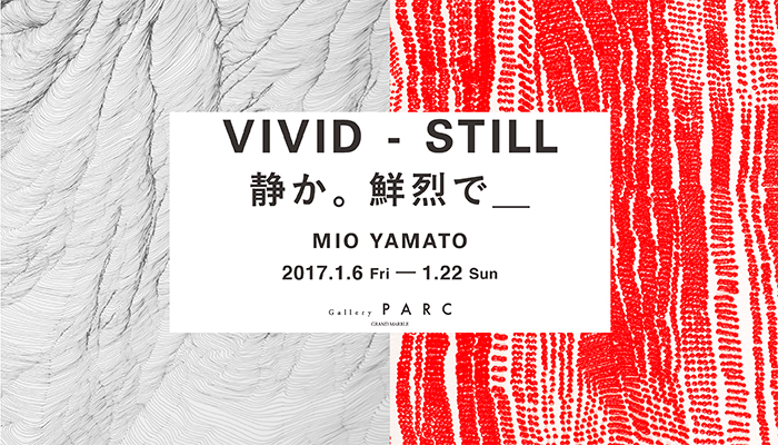大和美緒個展  VIVID-STILL：静か。鮮烈で＿