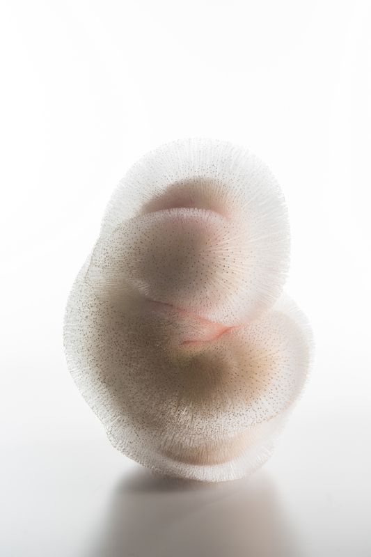 国際 ガラス展・2016 金沢 in 能登島