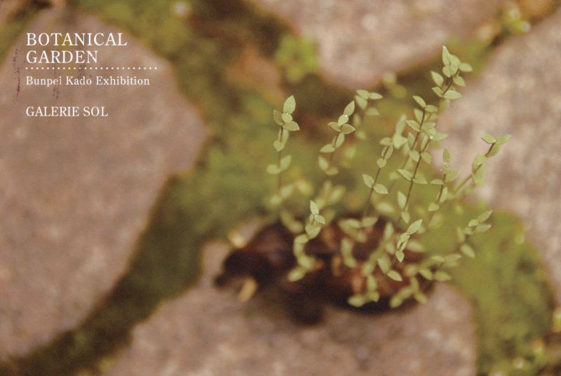 角　文平展　植物園