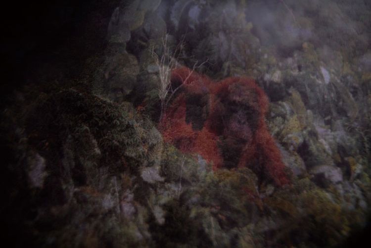 鈴木諒一展『観光』