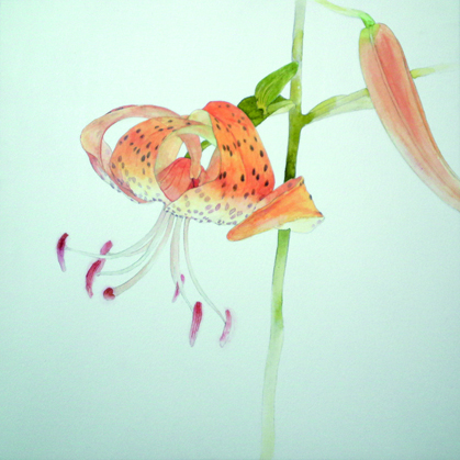高木 雄司　個展　「思ひ出の容」