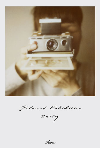ポラロイドフィルム展2013