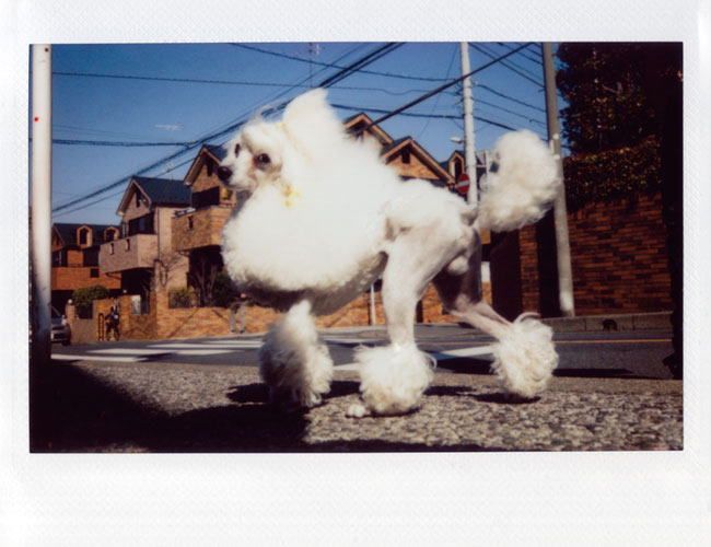 ジョン・サイパル写真展「On The Spot」