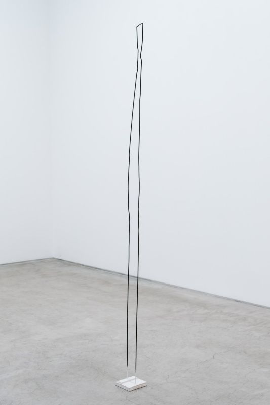 中沢研展