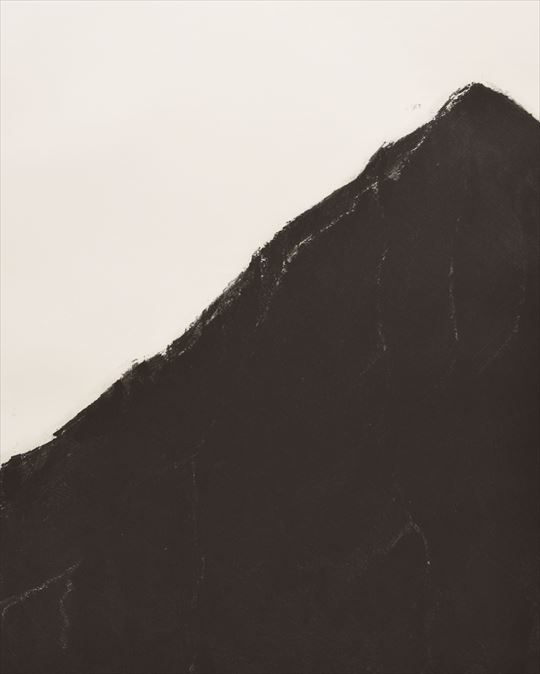 松本さやか 個展 「gunung」