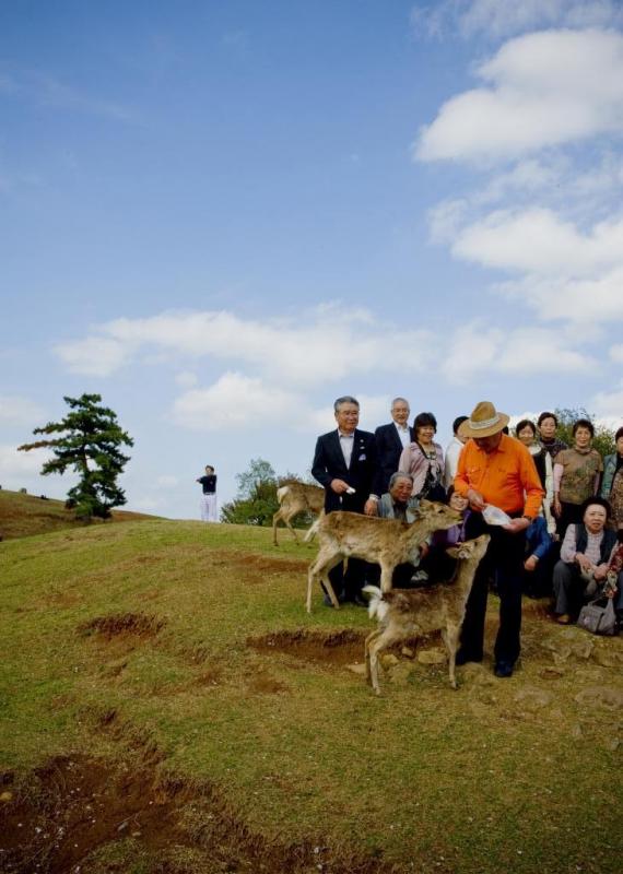 多田ユウコ写真展 「山遊鹿々人々図」