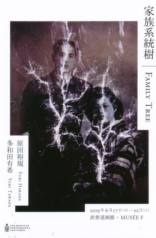 家族系統樹　FAMILY TREE　原田裕規　多和田有希