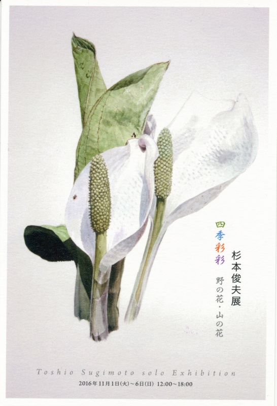 杉本俊夫展　四季彩彩 野の花・山の花
