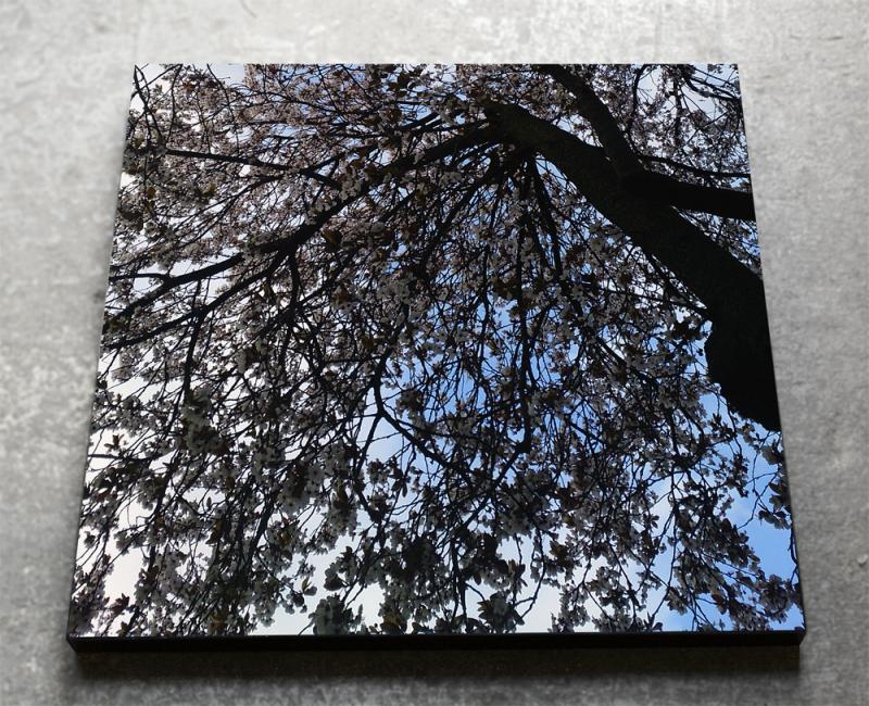 那須 秀至 展 ー 深遠に 2015 ー