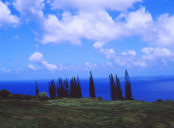山下茂樹写真展　Maui Island 「自然の香り」