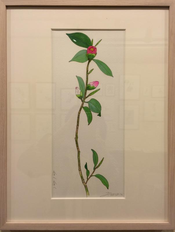 高北幸矢百椿展