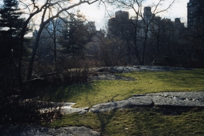 若木信吾写真展「Landscape」