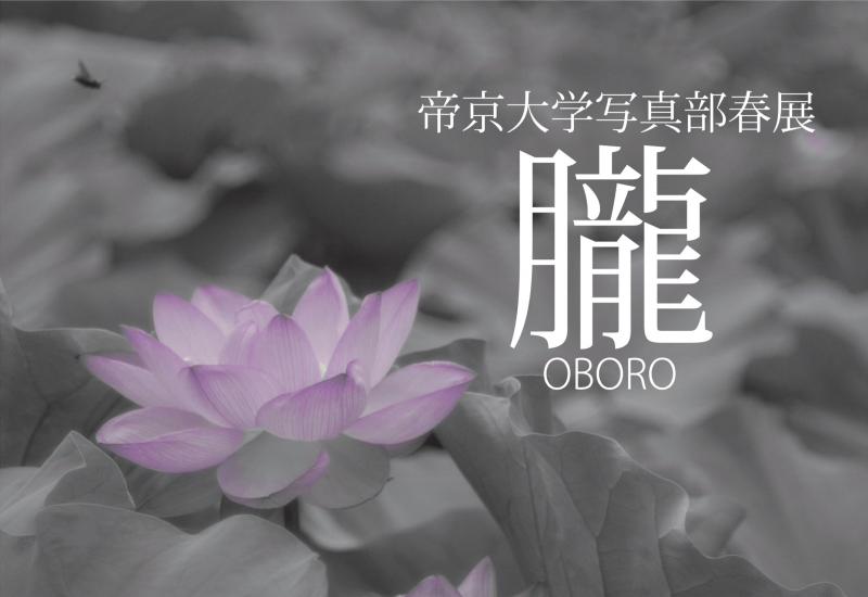 帝京大学写真部 春展「朧」