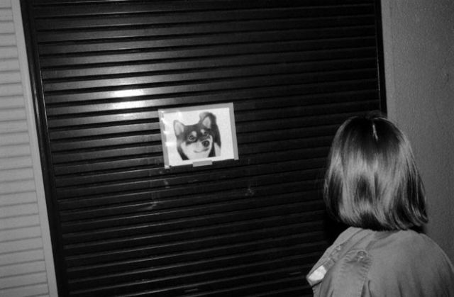 ジョン サイパル 写真展 / 「随写 vol.20」