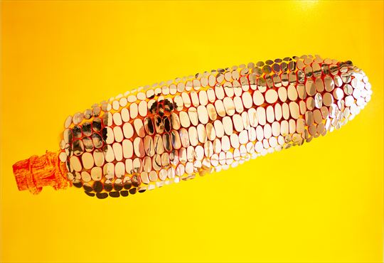 水口菜津子 個展 「ガリ版面白キ」