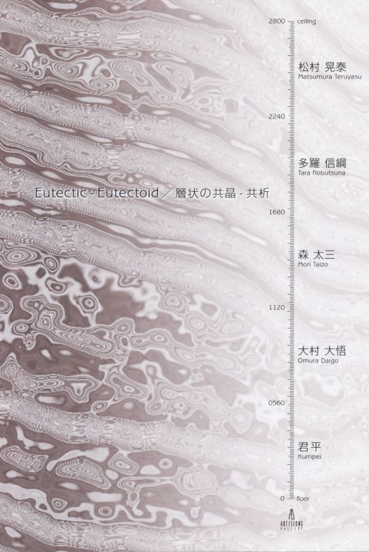 Eutectic-Eutectoid / 層状の共晶-共析