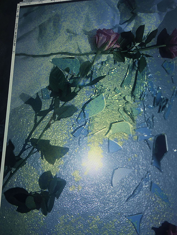 鈴木敦子 写真展 「lmitation Bijou」