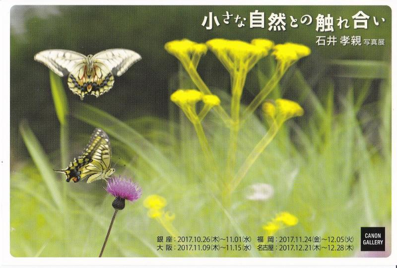 石井孝親写真展「小さな自然との触れ合い」