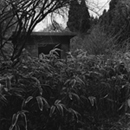 GUILD 写真展　「犬を逃がす仕事（仮）」