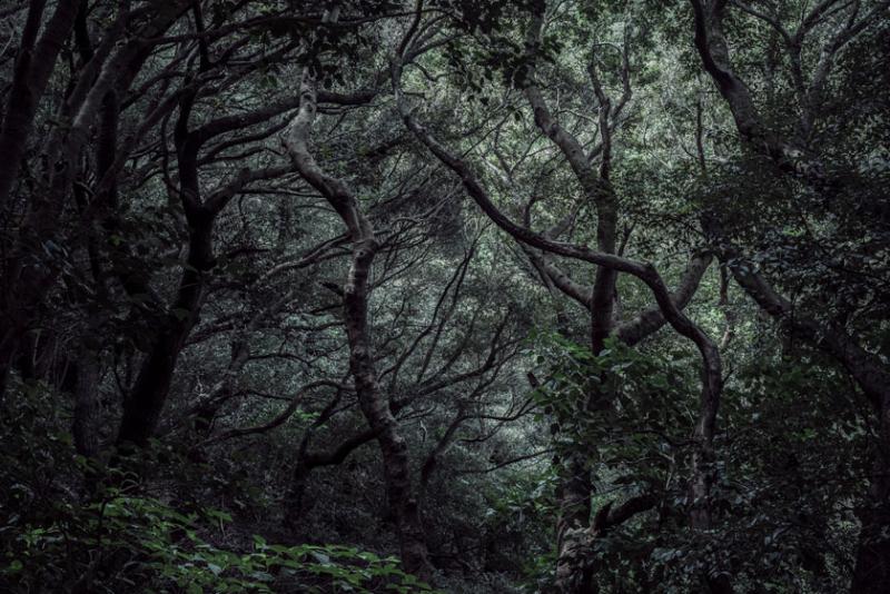 陰 森 凄 幽 ー インシンセイユウ ー 村松 朗 写真展