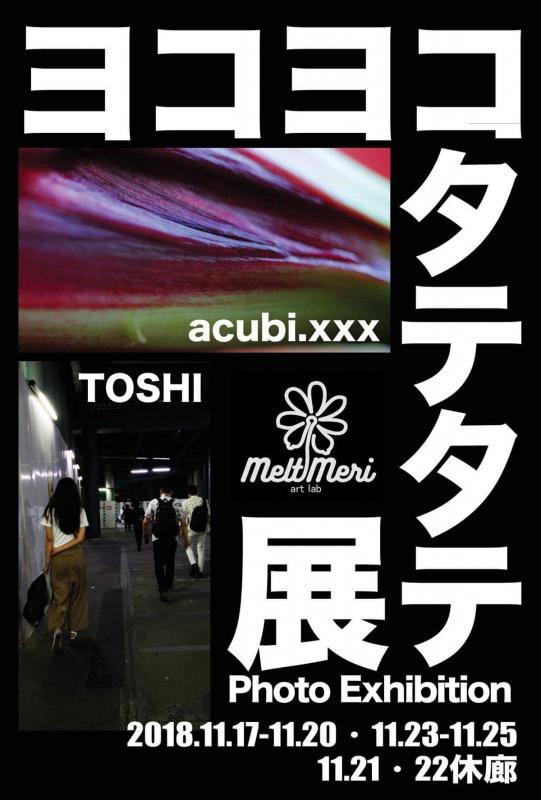 acubi.xxx & TOSHI ヨコヨコタテタテ展