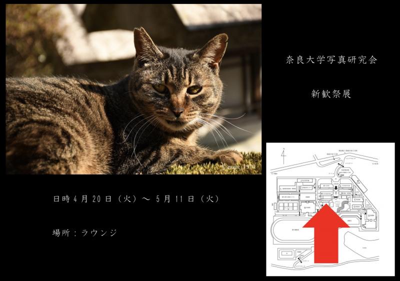 新歓祭展