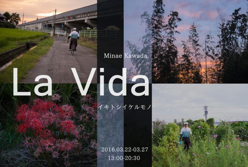 河田美奈枝写真展 「La Vida イキトシイケルモノ」