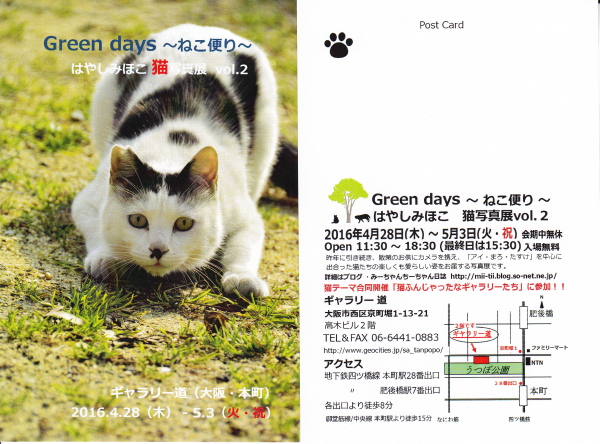 Green Days　~ねこ便り~　はやしみほこ猫写真展Vol.2