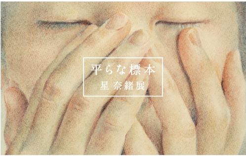 平らな標本　星奈緒展　　