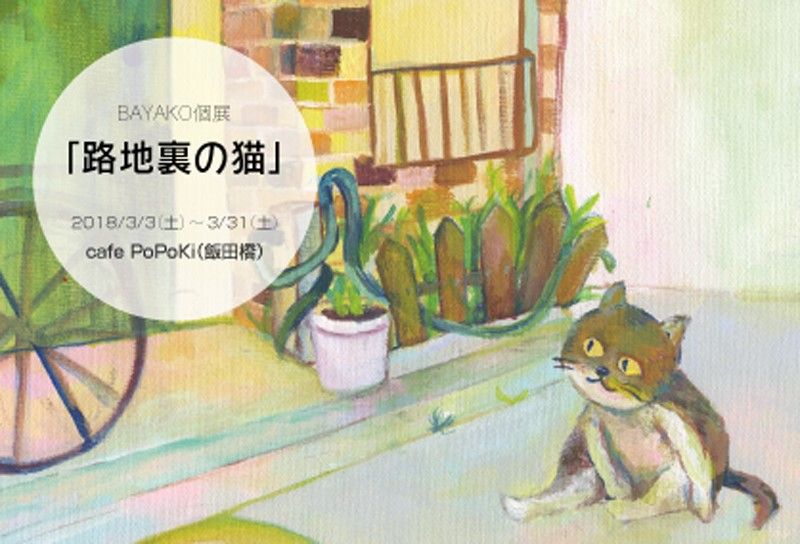 BAYAKO　「路地裏の猫」