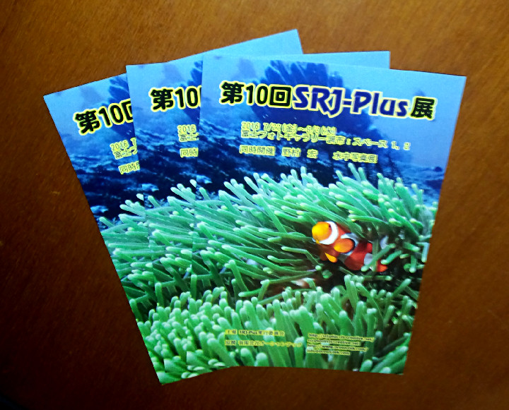 第10回SRJ-Plus展