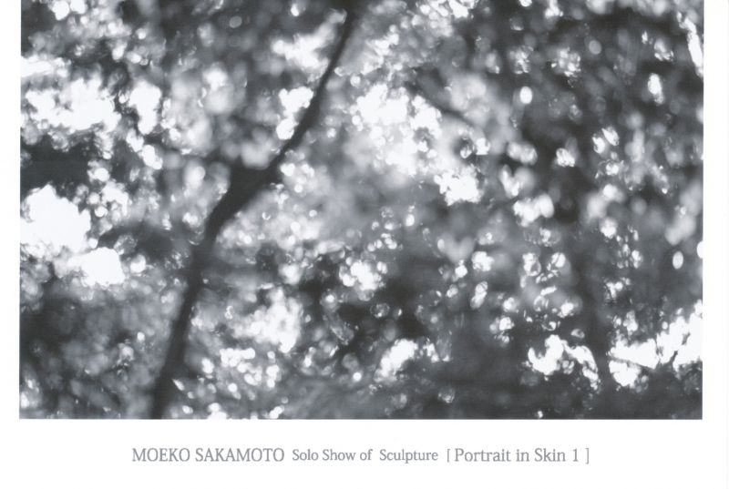 坂本萌子「皮膚の肖像１」