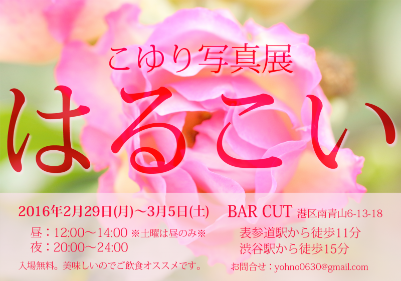こゆり写真展『はるこい』