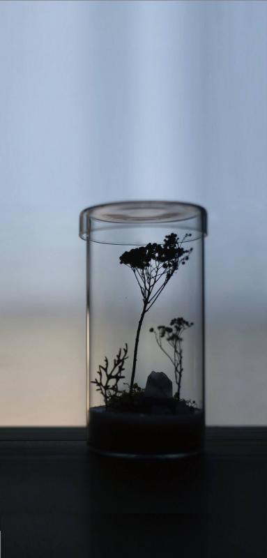 TOZAKI KEIKO SOLO EXHIBITION ひかりのこみち