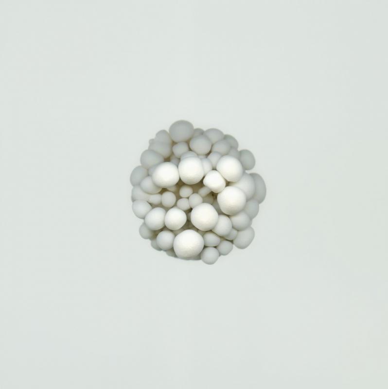 写真展「COPY」