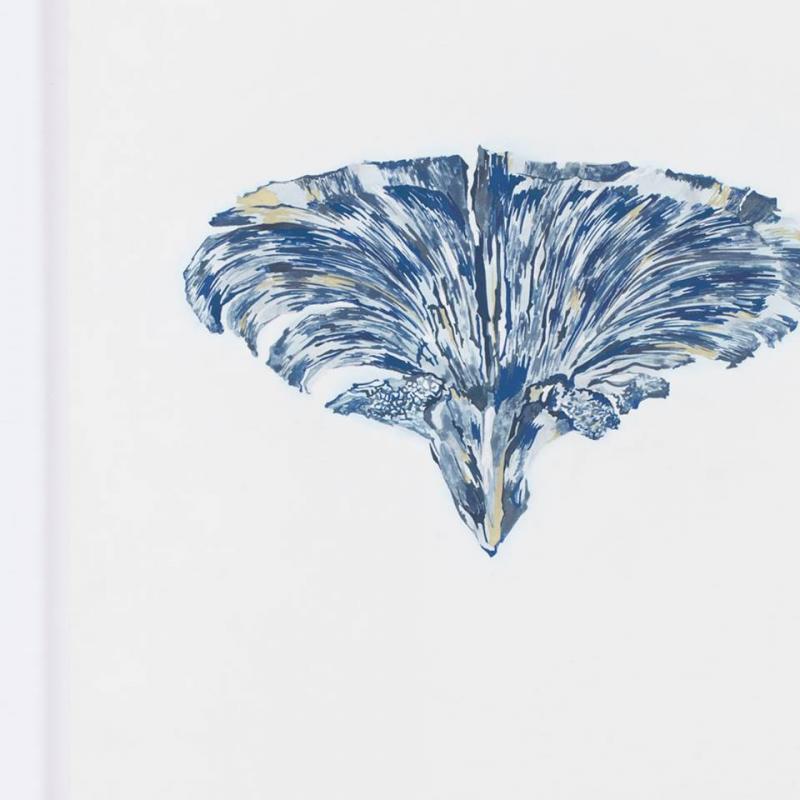 【Exhibition】9/29-10/4　西薗 静 −光合成の部屋−