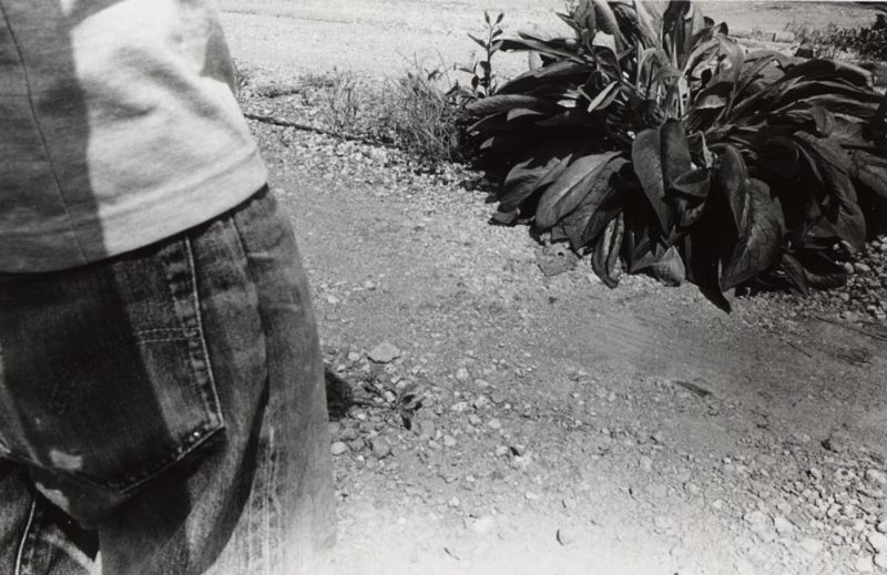 吉田伊豆写真展「影は白く輝く」