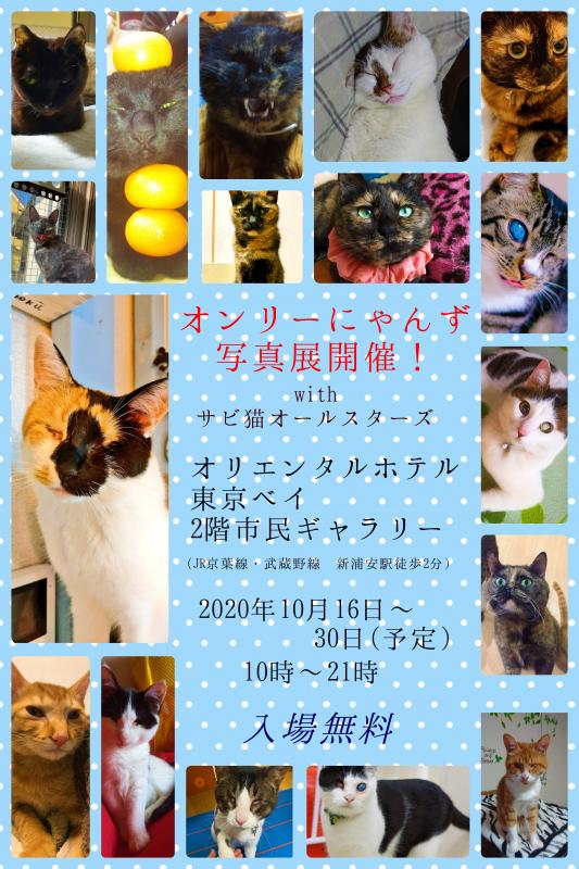 オンリーにゃんず写真展