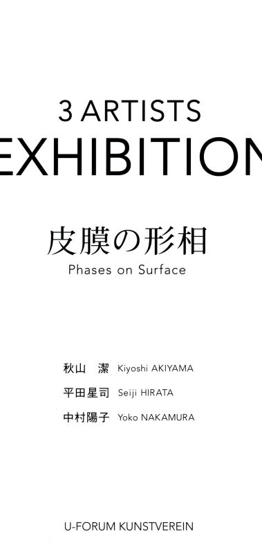 3 ARTISTS EXHIBITION  Phases on Surface