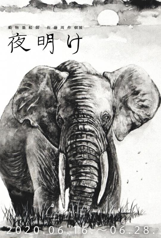 動物墨絵師  佐藤周作 個展  「夜明け」