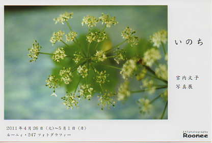 宮内文子写真展「いのち」